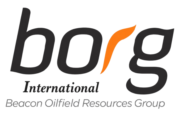 Borg International logo